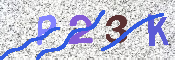 Obrazek CAPTCHA